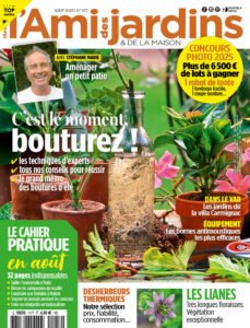 Campagne 16/08/2025
